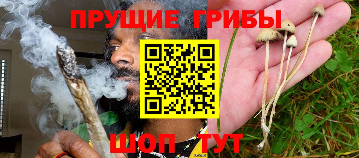 Самара  Галлюциногенные грибы мицелий  магазин  наркотиков  Вход с VPN 